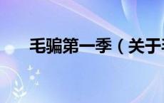 毛骗第一季（关于毛骗第一季的介绍）