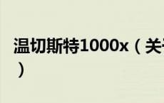 温切斯特1000x（关于温切斯特1000x的介绍）