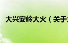 大兴安岭大火（关于大兴安岭大火的介绍）