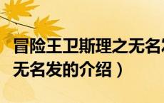 冒险王卫斯理之无名发（关于冒险王卫斯理之无名发的介绍）