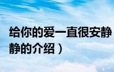 给你的爱一直很安静（关于给你的爱一直很安静的介绍）