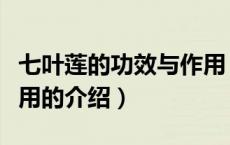 七叶莲的功效与作用（关于七叶莲的功效与作用的介绍）