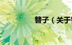 簪子（关于簪子的介绍）