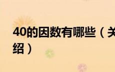 40的因数有哪些（关于40的因数有哪些的介绍）