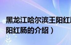 黑龙江哈尔滨王阳红肠（关于黑龙江哈尔滨王阳红肠的介绍）