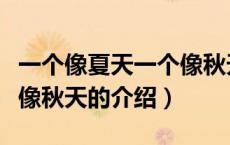 一个像夏天一个像秋天（关于一个像夏天一个像秋天的介绍）