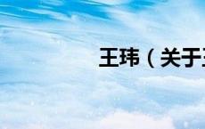 王玮（关于王玮的介绍）