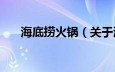 海底捞火锅（关于海底捞火锅的介绍）