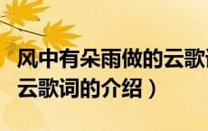 风中有朵雨做的云歌词（关于风中有朵雨做的云歌词的介绍）