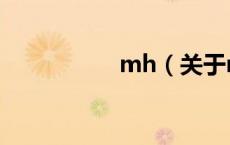 mh（关于mh的介绍）