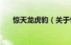 惊天龙虎豹（关于惊天龙虎豹的介绍）