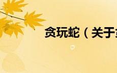 贪玩蛇（关于贪玩蛇的介绍）