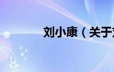 刘小康（关于刘小康的介绍）