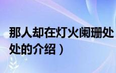 那人却在灯火阑珊处（关于那人却在灯火阑珊处的介绍）