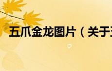 五爪金龙图片（关于五爪金龙图片的介绍）