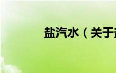 盐汽水（关于盐汽水的介绍）