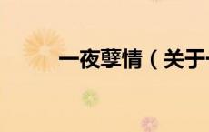 一夜孽情（关于一夜孽情的介绍）