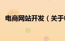 电商网站开发（关于电商网站开发的介绍）