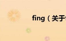 fing（关于fing的介绍）