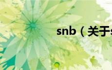 snb（关于snb的介绍）