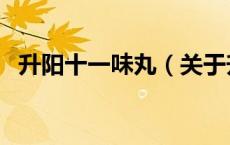 升阳十一味丸（关于升阳十一味丸的介绍）