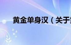 黄金单身汉（关于黄金单身汉的介绍）
