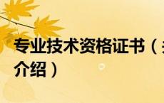 专业技术资格证书（关于专业技术资格证书的介绍）