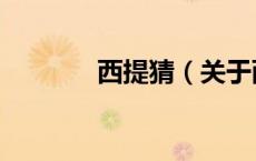 西提猜（关于西提猜的介绍）