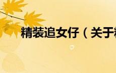 精装追女仔（关于精装追女仔的介绍）