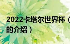 2022卡塔尔世界杯（关于2022卡塔尔世界杯的介绍）