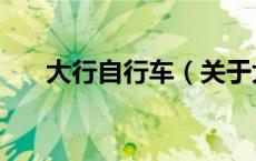大行自行车（关于大行自行车的介绍）