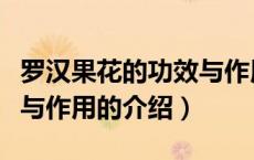 罗汉果花的功效与作用（关于罗汉果花的功效与作用的介绍）