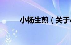 小杨生煎（关于小杨生煎的介绍）