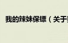 我的辣妹保镖（关于我的辣妹保镖的介绍）