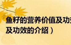 鱼籽的营养价值及功效（关于鱼籽的营养价值及功效的介绍）