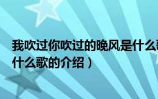 我吹过你吹过的晚风是什么歌（关于我吹过你吹过的晚风是什么歌的介绍）