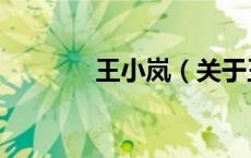 王小岚（关于王小岚的介绍）