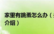 家里有跳蚤怎么办（关于家里有跳蚤怎么办的介绍）