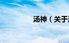 汤神（关于汤神的介绍）