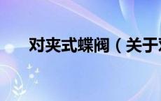 对夹式蝶阀（关于对夹式蝶阀的介绍）