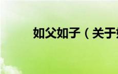 如父如子（关于如父如子的介绍）