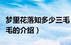 梦里花落知多少三毛（关于梦里花落知多少三毛的介绍）