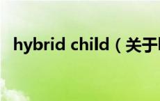 hybrid child（关于hybrid child的介绍）