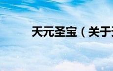 天元圣宝（关于天元圣宝的介绍）