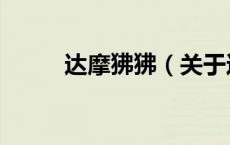 达摩狒狒（关于达摩狒狒的介绍）