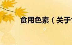 食用色素（关于食用色素的介绍）