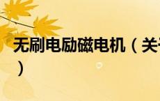 无刷电励磁电机（关于无刷电励磁电机的介绍）
