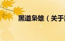 黑道枭雄（关于黑道枭雄的介绍）