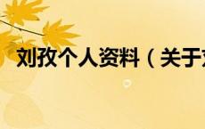 刘孜个人资料（关于刘孜个人资料的介绍）