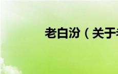 老白汾（关于老白汾的介绍）